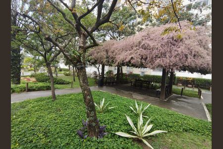 Apartamento para alugar com 50m², 2 quartos e 1 vagaÁrea comum