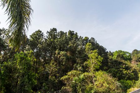 Casa de condomínio à venda com 800m², 4 quartos e 16 vagasVista da Varanda