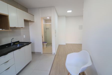 Apartamento para alugar com 40m², 1 quarto e 1 vagaCozinha