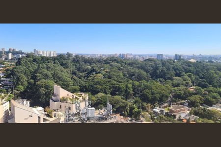 Apartamento à venda com 418m², 4 quartos e 3 vagas Apartamento à venda com 418m², 4 quartos e 3 vagasFoto 32