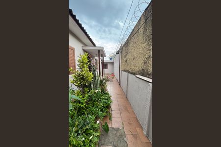 Casa para alugar com 230m², 4 quartos e sem vagaQuintal