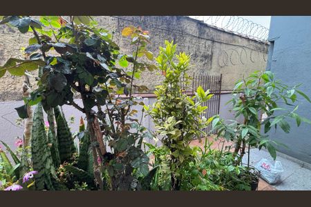 Casa para alugar com 230m², 4 quartos e sem vagaVista do Quarto 2