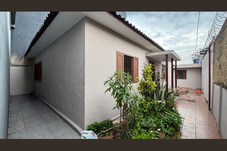 Casa para alugar com 230m², 4 quartos e sem vagaQuintal