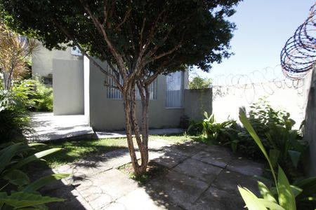 Casa para alugar com 220m², 2 quartos e 1 vagaQuintal