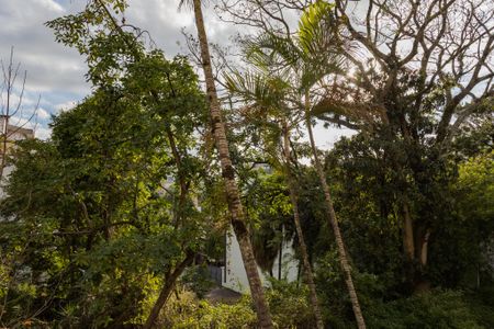 Apartamento para alugar com 54m², 2 quartos e 1 vagaSala