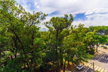 Studio para alugar com 30m², 1 quarto e sem vagaVista Varanda