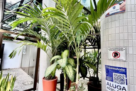 Apartamento para alugar com 45m², 1 quarto e 1 vagaPlaca