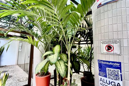 Apartamento para alugar com 45m², 1 quarto e 1 vagaPlaca