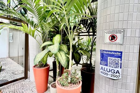 Apartamento para alugar com 45m², 1 quarto e 1 vagaPlaca