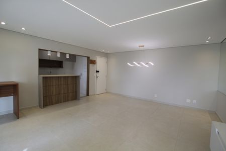 Sala de apartamento para alugar com 2 quartos, 98m² em Cambuci, São Paulo