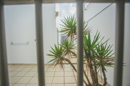 Casa à venda com 316m², 6 quartos e 3 vagasVista