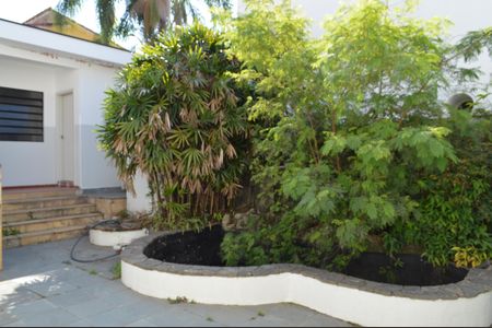 Casa para alugar com 336m², 5 quartos e 4 vagasQuintal