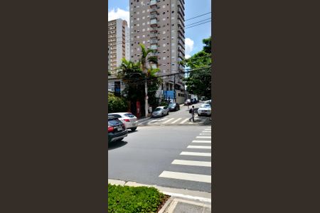 Casa para alugar com 300m², 2 quartos e sem vaga