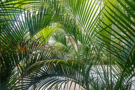 Varanda de apartamento para alugar com 1 quarto, 45m² em Andaraí, Rio de Janeiro