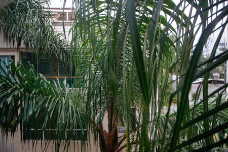 Apartamento à venda com 80m², 2 quartos e 1 vagaVista do Quarto 1