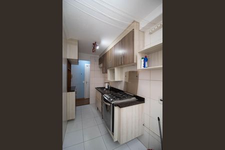Cozinha - Armários de apartamento para alugar com 2 quartos, 44m² em Ponte Grande, Guarulhos
