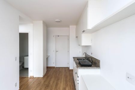 Cozinha de apartamento para alugar com 1 quarto, 33m² em Ipiranga, São Paulo