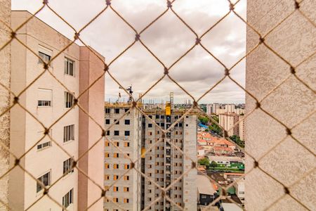 Apartamento para alugar com 2 quartos, 34m² em Vila Mira, São Paulo
