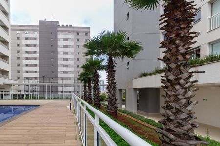 Apartamento para alugar com 100m², 2 quartos e 2 vagasÁrea Comum - Pista de Caminhada