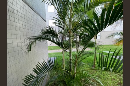 Vista da Sala de apartamento para alugar com 2 quartos, 45m² em Parque Ipê, São Paulo