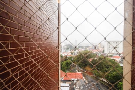 Apartamento para alugar com 92m², 3 quartos e 2 vagasVista