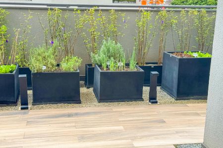 Apartamento à venda com 47m², 1 quarto e 1 vagaHorta 