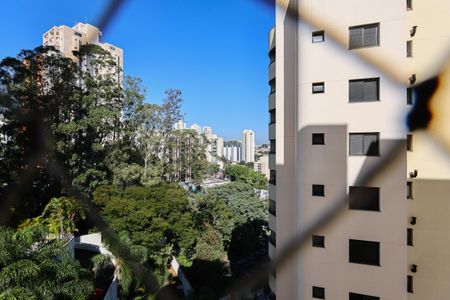 Vista do Quarto 2 de apartamento para alugar com 3 quartos, 83m² em Vila Suzana, São Paulo