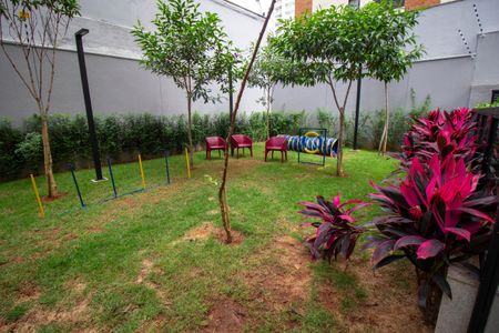 Studio para alugar com 26m², 1 quarto e sem vaga Studio para alugar com 26m², 1 quarto e sem vagaÁrea comum - Pet Place