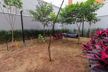 Studio para alugar com 26m², 1 quarto e sem vaga Studio para alugar com 26m², 1 quarto e sem vagaÁrea comum - Pet Place