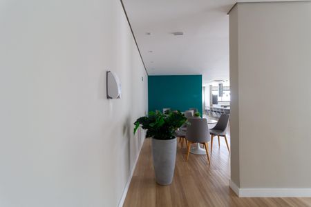 Studio para alugar com 26m², 1 quarto e sem vaga Studio para alugar com 26m², 1 quarto e sem vagaÁrea comum - Espaço Multiuso