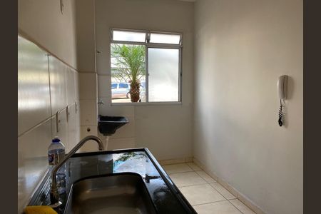 Cozinha de apartamento para alugar com 2 quartos, 47m² em Jardim Itaú, Ribeirão Preto