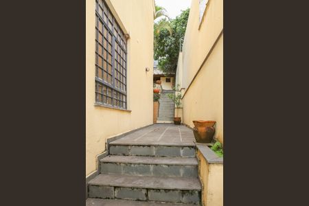 Casa para alugar com 239m², 3 quartos e 3 vagasQuintal