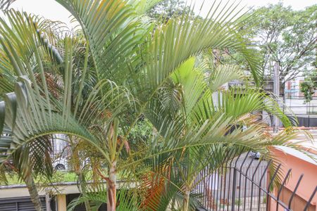 Casa para alugar com 239m², 3 quartos e 3 vagasVista da Suíte 1