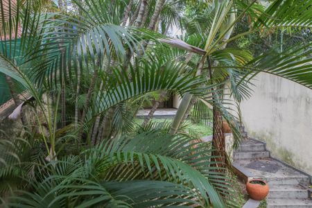 Casa para alugar com 239m², 3 quartos e 3 vagasVista da Suíte 3