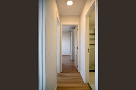 Corredor de apartamento para alugar com 2 quartos, 42m² em Sacoma, São Paulo