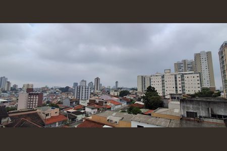 Apartamento à venda com 296m², 3 quartos e 3 vagasVista