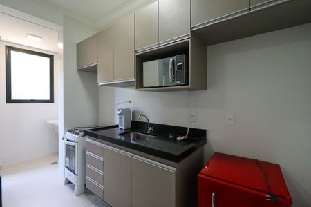 Cozinha de apartamento para alugar com 2 quartos, 45m² em Jardim Recreio , Ribeirão Preto