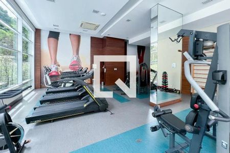 Apartamento para alugar com 62m², 2 quartos e 1 vaga Apartamento para alugar com 62m², 2 quartos e 1 vagaÁrea comum - Academia