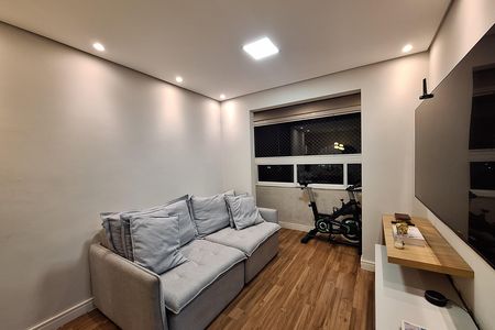 Sala  de apartamento à venda com 2 quartos, 48m² em Vila Metalúrgica, São Paulo