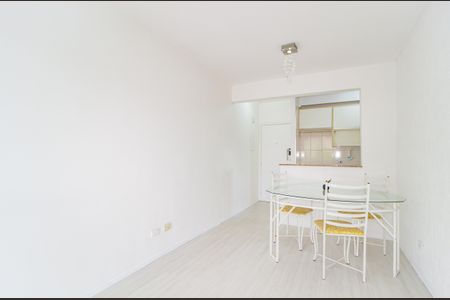 Sala de apartamento para alugar com 2 quartos, 47m² em Vila Prudente, São Paulo