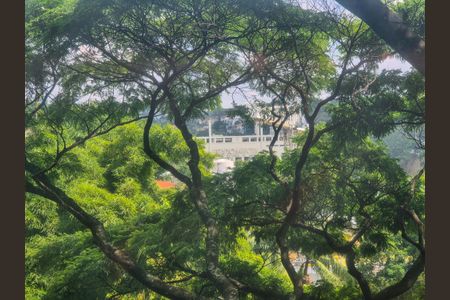 Apartamento à venda com 390m², 4 quartos e 6 vagas Apartamento à venda com 390m², 4 quartos e 6 vagasVista da Suíte 4