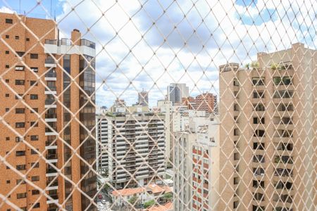Vista da Sacada de apartamento para alugar com 2 quartos, 65m² em Perdizes, São Paulo