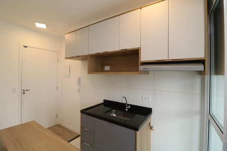 Apartamento para alugar com 31m², 1 quarto e sem vagaCozinha
