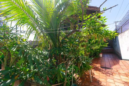 Casa para alugar com 300m², 3 quartos e 7 vagasQuintal/ Jardim