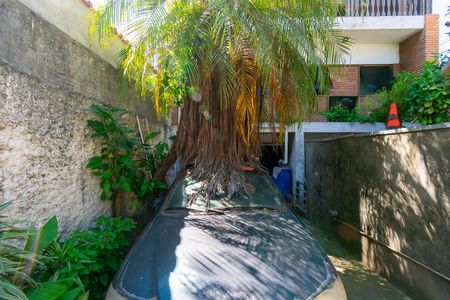 Casa para alugar com 300m², 3 quartos e 7 vagasGaragem