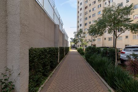 Apartamento para alugar com 40m², 2 quartos e sem vaga Apartamento para alugar com 40m², 2 quartos e sem vagaÁrea Comum