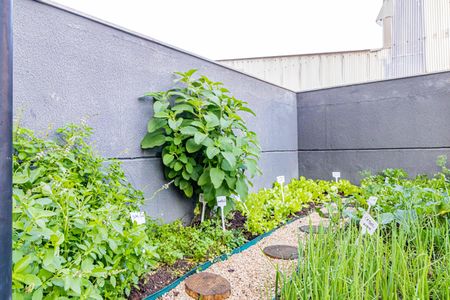 Apartamento para alugar com 68m², 2 quartos e 1 vaga Apartamento para alugar com 68m², 2 quartos e 1 vagaÁrea comum - Horta