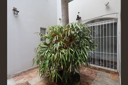 Casa à venda com 435m², 3 quartos e 3 vagasÁrea externa