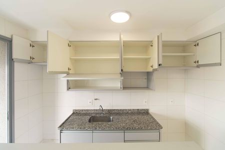 Cozinha de apartamento para alugar com 2 quartos, 50m² em Cursino, São Paulo