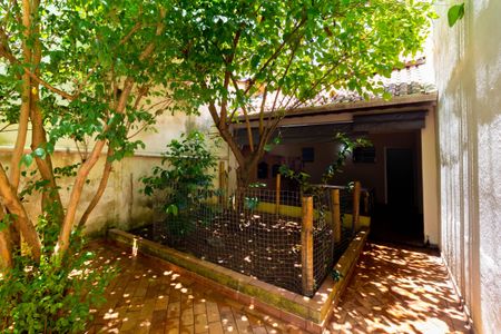 Casa para alugar com 270m², 3 quartos e 5 vagas Casa para alugar com 270m², 3 quartos e 5 vagasJardim